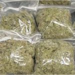 Police-officers-sacked-for-claiming-rats-ate-360kg-of-seized-marijuana.jpg