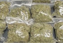 Zimbabwe legalizes marijuana