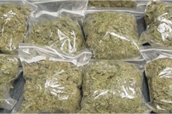 Police-officers-sacked-for-claiming-rats-ate-360kg-of-seized-marijuana.jpg