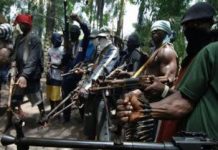2018 Budget: Niger Delta Militants Threaten Indigent National Assembly Members over Reduction in Project Funding