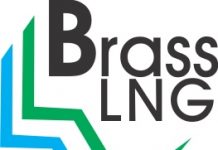 Dickson Tasks President Buhari On Brass LNG, Refinery Projects.