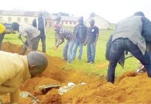 The Deleted Controversial Article “BECAUSE OF COWS” by Daily Trust Newspapers