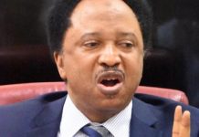Shehu Sani to FG: Spend Abacha loot on things Nigerians can see with their ‘korokoro’ eyes