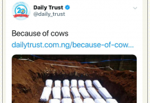 ‘Because Of Cow’: Daily Trust Apologizes OverHate Speech Report, Nigerians React