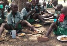 “FG Wants Us To Feed Pupils Rice, Beans, Vegetable, Crayfish With Just N35” – School Feeding Vendors