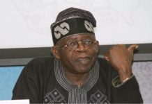 2023: Tinubu will win Kano — Danbazau