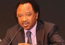 JUST IN: Sen. Shehu Sani withdraws from APC Kaduna Central senatorial primaries