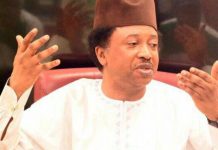 2019: Senator Shehu Sani Loses APC Primary To El-Rufai’s Aide