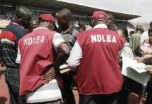NDLEA arrests three with Fake Police Uniform ….Recover 586kg of Indian hemp in Niger