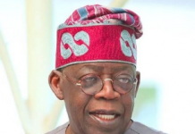 Write Your Report and Go Home -Tinubu Tells Election Observers