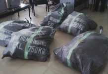 EFCC secures final forfeiture of N49m intercepted at Kaduna Airport