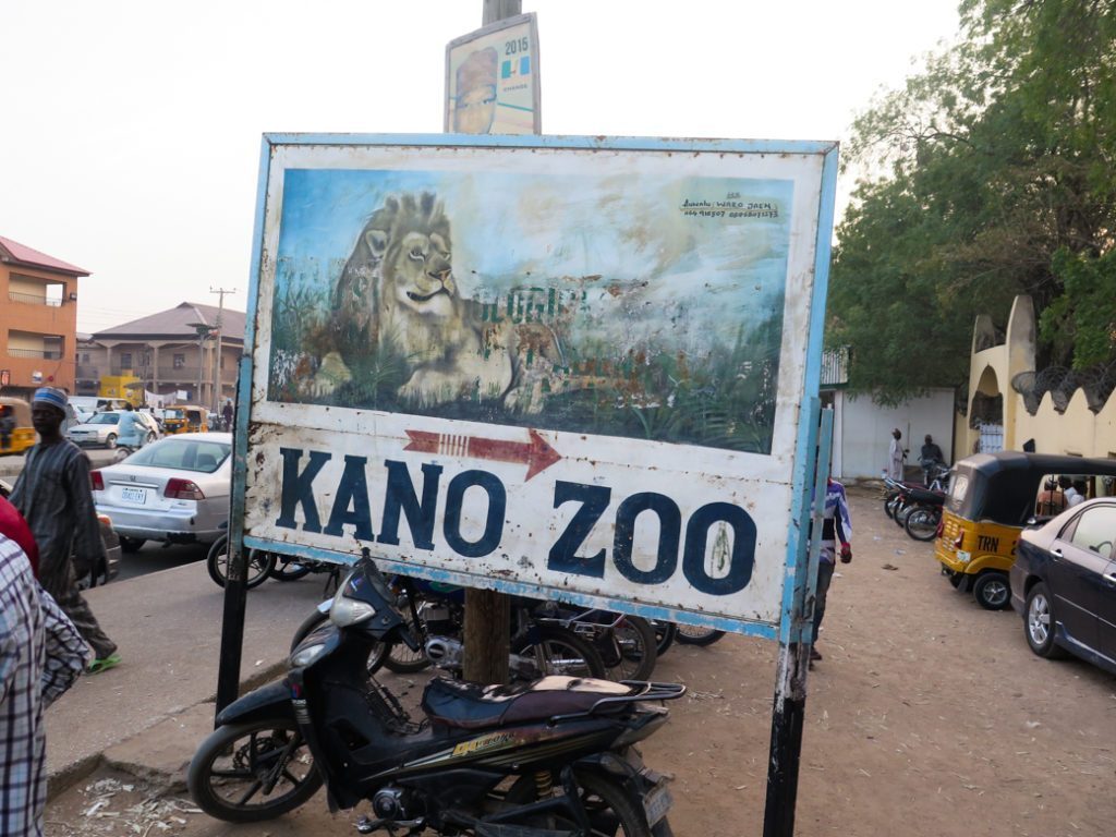 Angry Gorilla swallows N6.8m and escapes from Kano zoo
