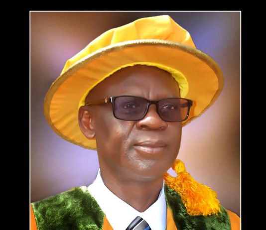 Fedpoffa Rector, Senator Lola Ashiru, Others React To Suicide Cases In Nigeria…Read Reactions In An Exclusive Interview With Busy Brain