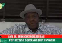 I want to turn Bayelsa to Dubai, Singapore of Nigeria — Igali