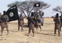 Cyber-terrorism experts expose new ISWAP, Boko Haram tactics