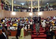 PHOTO: Lawmakers flee as Live snake falls from roof during plenary …chases lawmakers out of Ondo Assembly