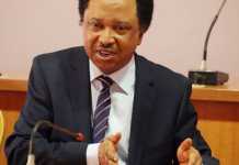 Shehu Sani reacts to US govt’s visa ban on some Nigerian politicians