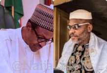 IPOB Bans President Buhari, Buratai From Foreign Trips