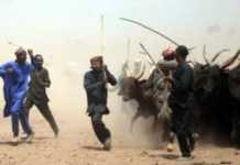 Fulani Herdsmen Stab Themselves Over Missing Cows in Imo