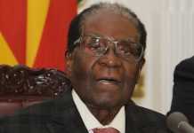 Mugabe: His legacy for African leaders