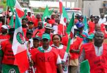 Labour to begin strike in Kebbi