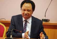 “If I were an Emir in Kaduna, El rufai will banish me to Madagascar“ – Shehu Sani