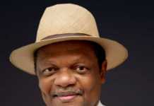 Peterside resigns from Nigerian Breweries board