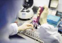 91 recovered COVID-19 patients test positive again