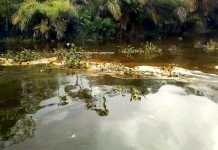 Residents of Ikebiri community in Bayelsa State lament fresh crude oil spill