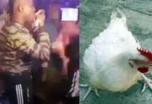 TRENDING: Young boys eat live chicken in a club as native doctor performs ritual on them