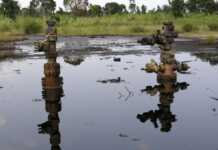 Netherlands Court Held Shell Liable For Oil Spill In N’Delta, Orders Compensation, ERA/FoEN Lauds Judgement