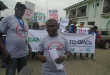 Environmentalists, CSOs protest in Bayelsa, seeks ban on GMO foods, products