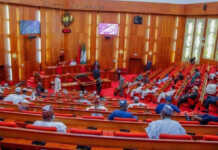 BREAKING: Senate approves fresh $1.5bn, €995m external loans