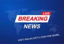 Naija Live Tv Breaking News Logo