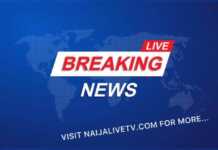 BREAKING: FG Shuts Down 49 illegal TV Stations Naija Live Tv Breaking News Logo
