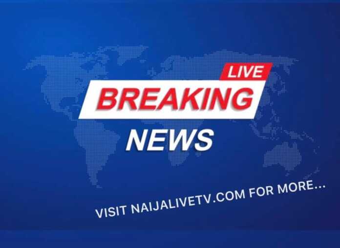 Naija Live Tv Breaking News Logo