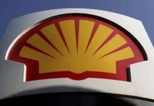 Shell: We’ve recorded 51 oil leaks in Niger Delta this year