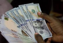 Naira appreciates to N493/$1 at parallel market