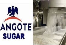 Seven Feared Dead As Soldiers Open Fire On Protesting Staff Of Dangote Sugar Company In Adamawa