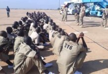 Houses and Stipends: UN Report Exposes Nigeria’s Secret Programme for Repentant Boko Haram Terrorists