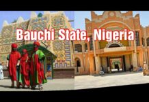 Behold! Bauchi As An Oil Producing State?