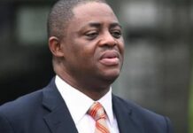 I look forward to playing key roles in battle with PDP – Fani Kayode