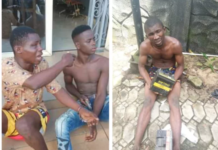 Two men who specialize in stealing and selling car batteries, copper wires arrested in Bayelsa