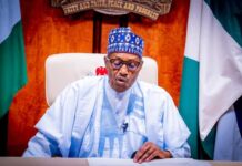 Presidency Speaks on Alleged Presidential Jet Mishap Involving Buhari