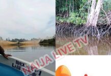 Nembe Spill: Ijaw Diaspora Council writes Aiteo CEO, demands relief for impacted communities
