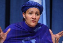 IYC hails Amina’s reappointment, demands action on Niger Delta wetland
