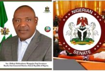 Bayelsa East: Senator Degi presents Over 60 capital projects, sponsors 4 bills, moves 8 motions