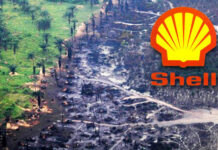 Shell Asks Court to Overturn N800bn Oil Spill Judgement