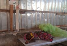NCDC List Bayelsa, FCT, 32 other States hit by cholera outbreak in 2021