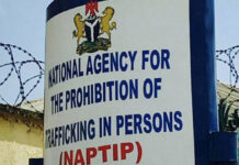 Sexual Violence: 20 States have domesticated VAPP Act says NAPTIP